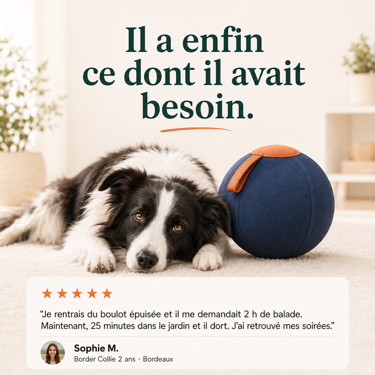 PawDrive™ La balle interactive ultra-résistante