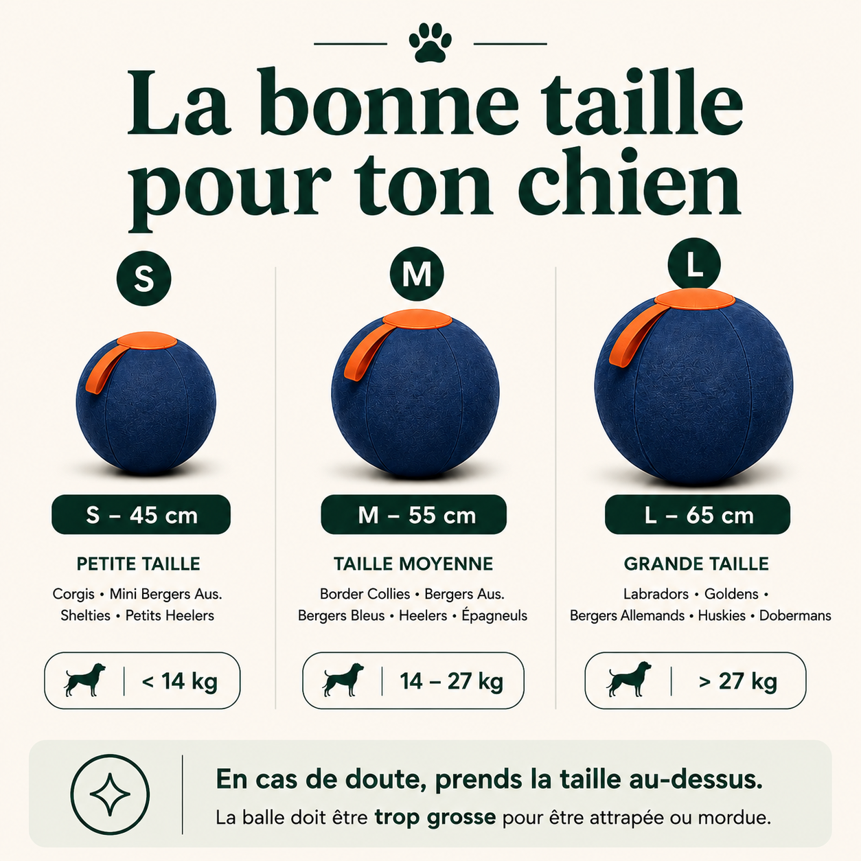 PawDrive™ La balle interactive ultra-résistante