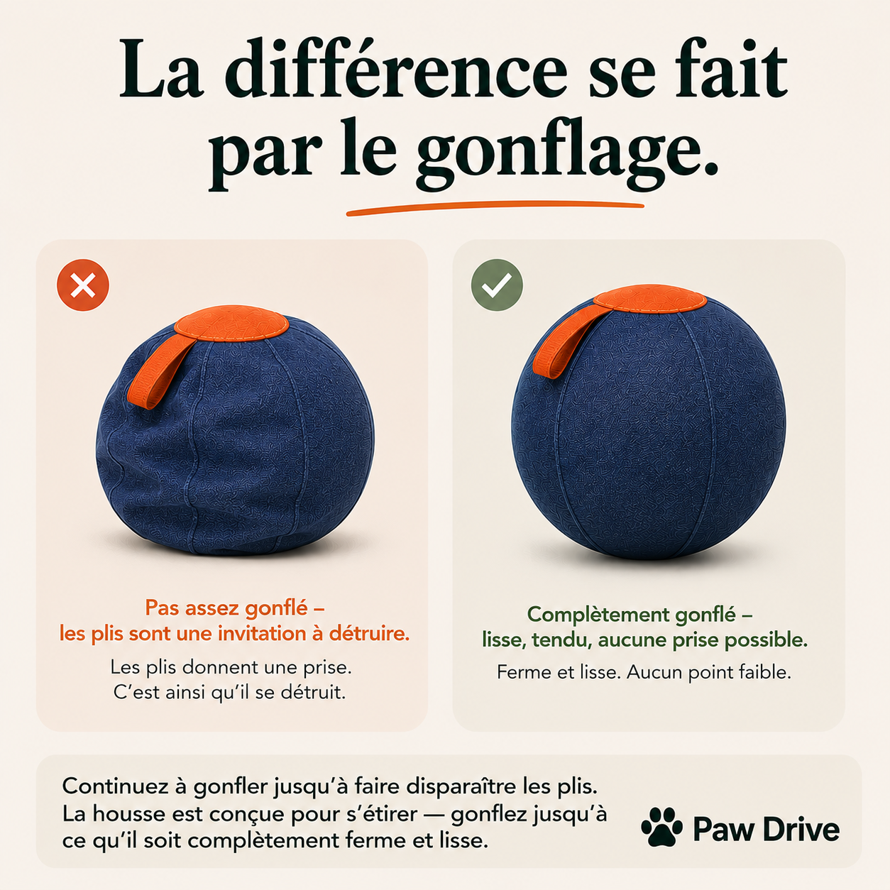 PawDrive™ La balle interactive ultra-résistante