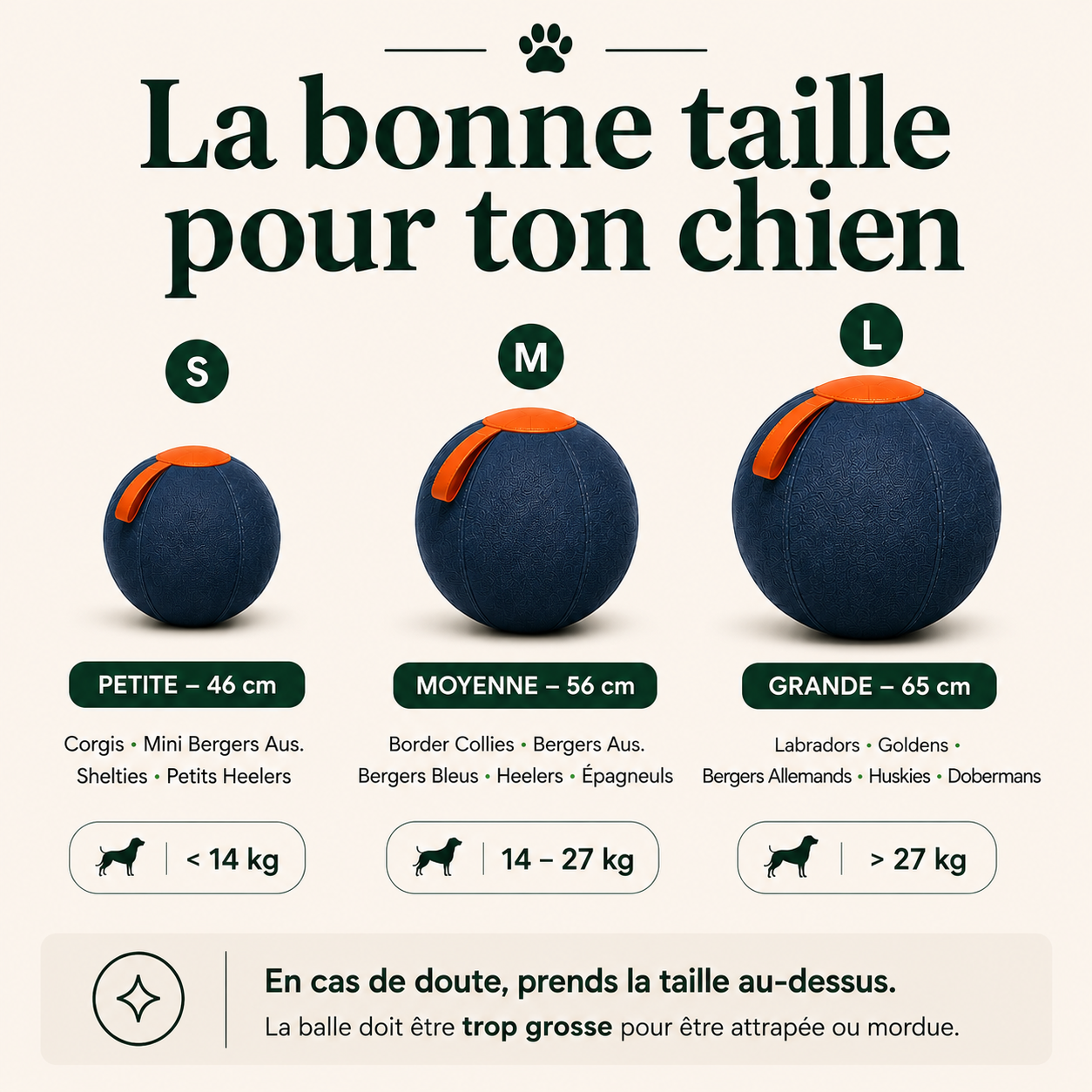 PawDrive™ La balle interactive ultra-résistante