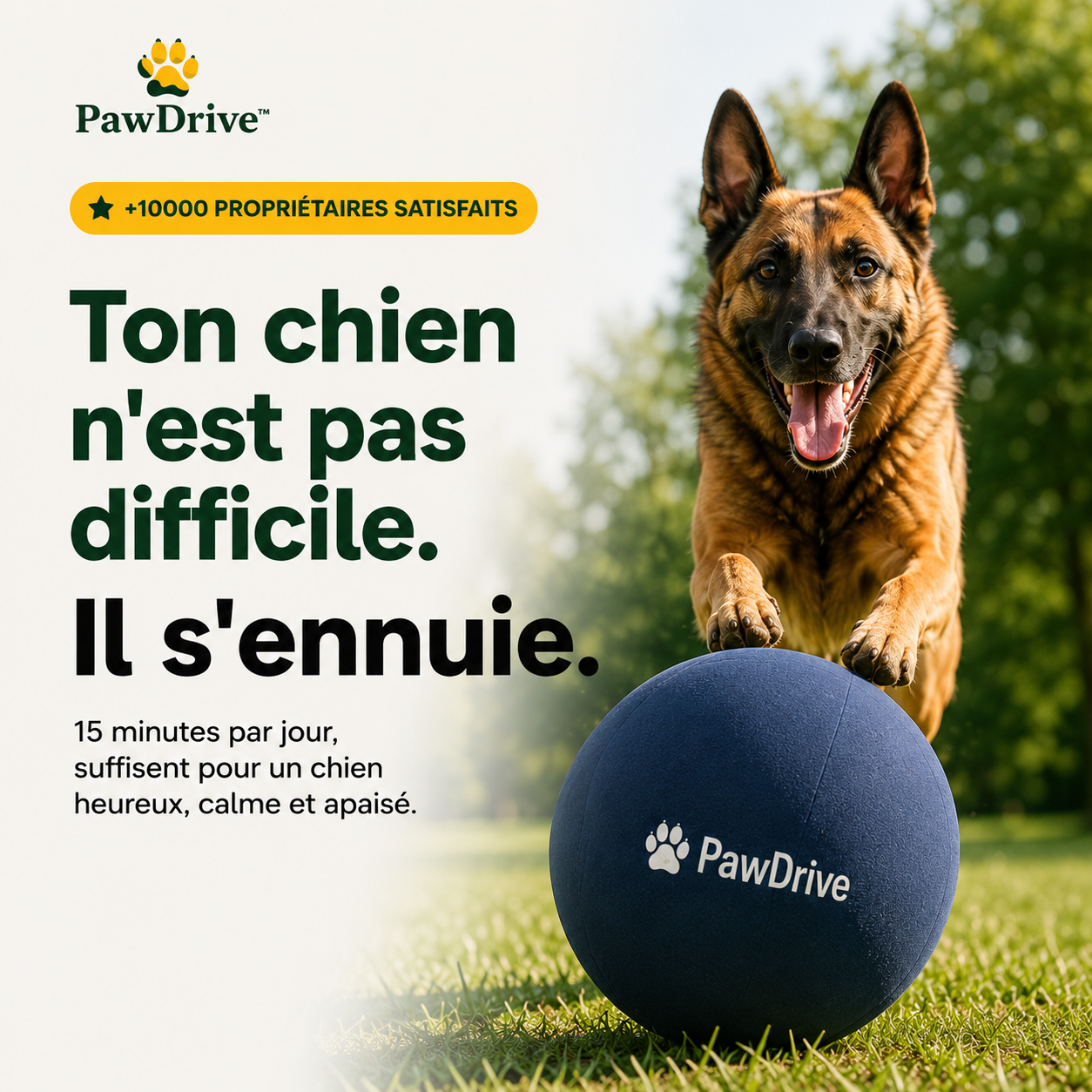 PawDrive™ La balle interactive ultra-résistante