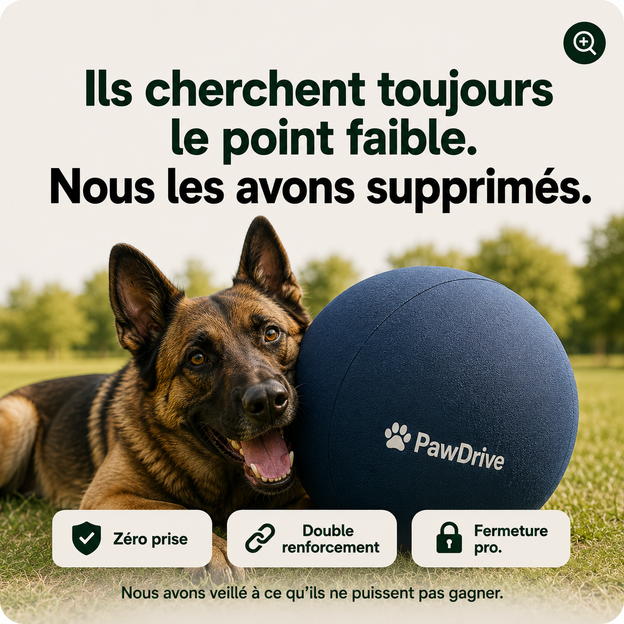 PawDrive™ La balle interactive ultra-résistante